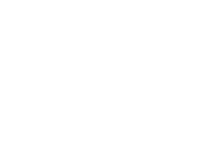 footer-logo